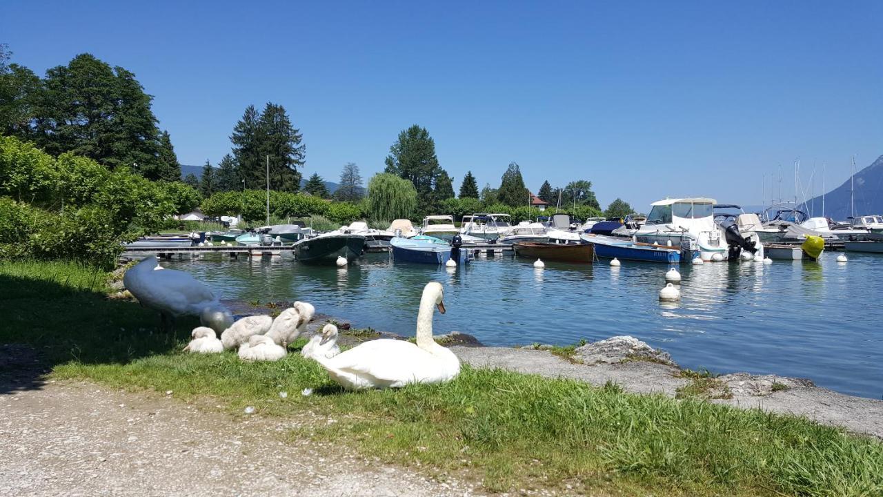 شقة Au Bout Du Lac D'Annecy دوسارد المظهر الخارجي الصورة